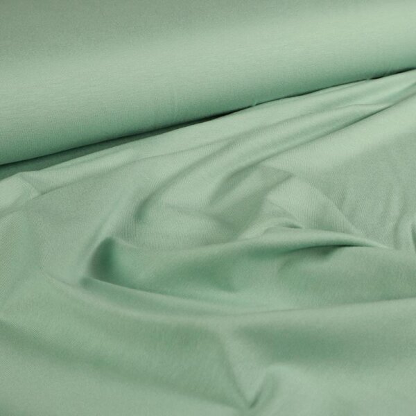 Rest = 0,50 m*  Viskosejersey Tricot de Luxe - dusty mint