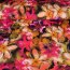 French Terry - Sommersweat - Tropical Flower - peach/orange/goldgelb